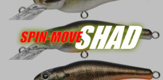 スピンムーブシャッド 新色追加 カラー