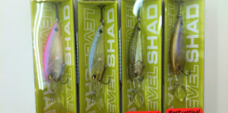 レイドジャパン レベルシャッド 入荷写真