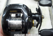 メンテナンス日記#545:タトゥーラ 103H TW 6.3 (00613480) (バッキーちゃん) タトゥーラ 103H TW 6.3 (00613480) メンテナンス修理写真