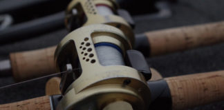 琵琶湖 春 湖上調査 写真