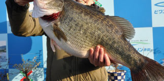 ビワコマリン春のデカバス写真