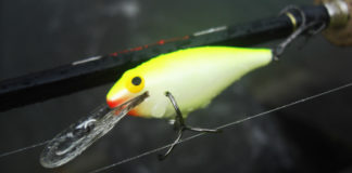 雨の瀬田川 早春 2018年