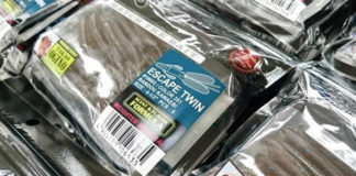 ノリーズ エスケープツイン 入荷写真