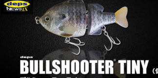 デプス ブルシュータータイニー 写真