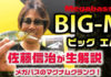 マグナムクランク「ビッグM」写真