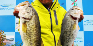 琵琶湖 50cm55cm 釣果写真