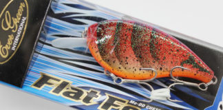 エバーグリーン フラットフォース 入荷写真