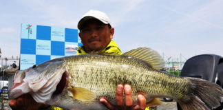 琵琶湖 60cm捕獲写真 2018年4月22日