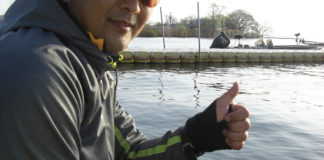 琵琶湖 春の巻物 2018年 釣果写真