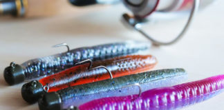 ネッドリグ ネドリグ 写真