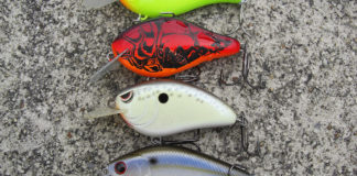 瀬田川 フラッットフォース インプレ写真