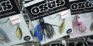 琵琶湖 4月6日 調査写真