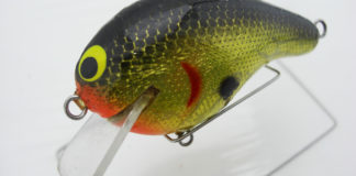 バグリークランクベイト写真