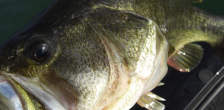 琵琶湖湖上調査 5月15日 写真