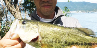 上杉様 5月大会 釣果写真