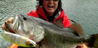 2018年4月25日 The Hit 菊元エイトトラップ 写真