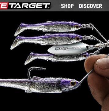 ライブ ターゲット ベイトボールスピナーリグ 写真