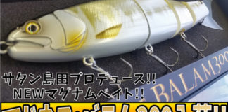 マドネス バラム300入荷写真