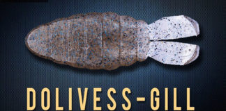 OSPドライブSSギル 写真