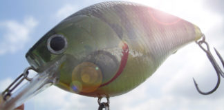 琵琶湖 SKTマグナム釣行写真