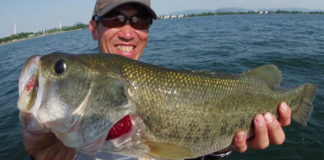 2018年7月16日 50cm (テキサス)