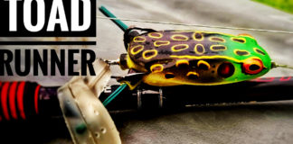 ブーヤー・トードランナー フロッグ写真