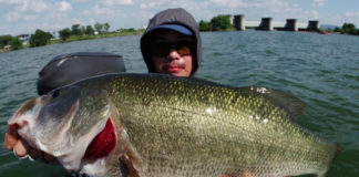 ヘビダンとsktマグナムで５０アップ多数ゲット 2018年 写真