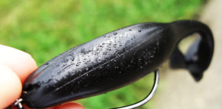 琵琶湖 北山田 増水 2018年 写真