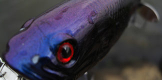 琵琶湖 北山田 おかっぱりリールテスト写真