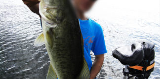 琵琶湖 7月8日 ガイド日記写真