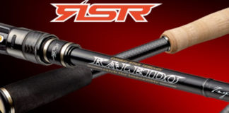 RSR-C70XHX ラピッドガンナーRSR エバーグリーン 写真