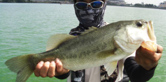 琵琶湖 夏のビックワーム釣果写真