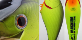 琵琶湖ボート釣行 瀬田川 8月11日 写真