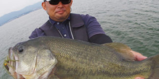 琵琶湖湖上業務 チャターベイトでの釣果写真