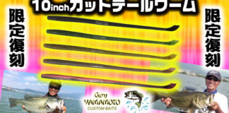 10インチカットテール 復刻写真