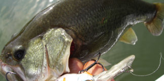 チャプター西の湖 第3戦 プラクティス二日目 写真