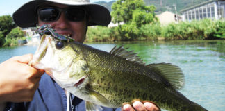 琵琶湖湖上業務 釣れない日々 2018年 写真