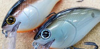 ノリーズ ショットストーミーマグナムTDM入荷 写真