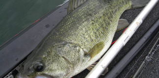 琵琶湖北湖 調査 2018 魚探写真