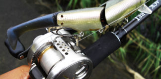 琵琶湖 おかっぱりへ ロッド折られそうな場所 写真