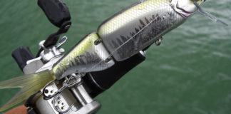 琵琶湖湖上へ (9月7日) 気になる台風21号通過後の琵琶湖湖上写真