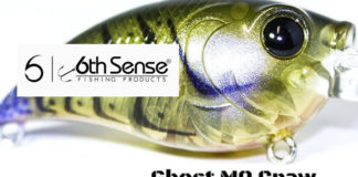 The 6th Sense Curve 55 商品写真