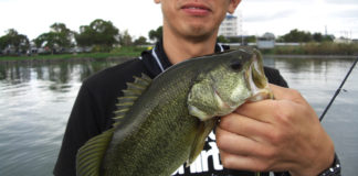 秋の琵琶湖ボート釣行 スピナーベイト写真