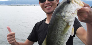 秋の巻きモノ スピナーベイト琵琶湖写真