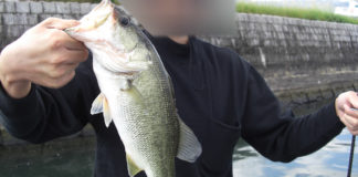 琵琶湖 秋のライトリグ挑戦 2018年 写真