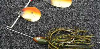 ビワコマリンオーナーズカップ2018 プリプラクティス写真