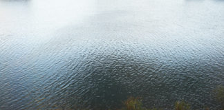 ヒルデブラント スピナーベイトブレード写真