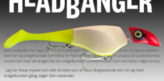 ヘッドバンガービックベイト写真