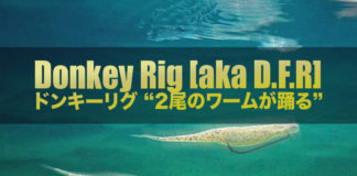 ドンキーリグ=ダブルフルークリグ セット方法紹介 写真