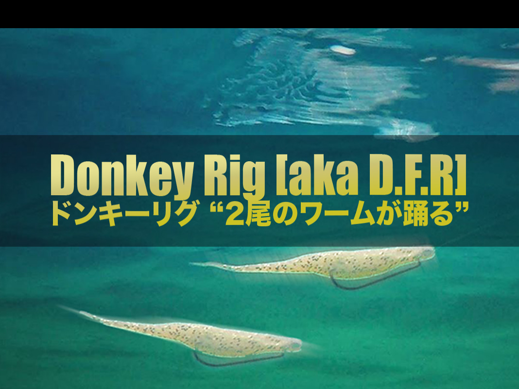 ドンキーリグ=ダブルフルークリグ 入門 (Wired2Fish)